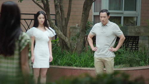 But I Never Loved You