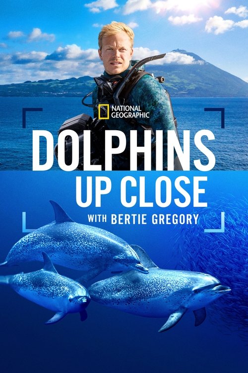 Dolphins Up Close with Bertie Gregory