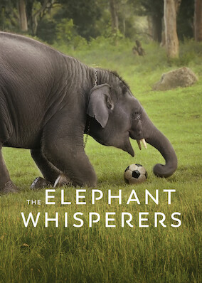 The Elephant Whisperers