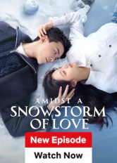 Amidst a Snowstorm of Love